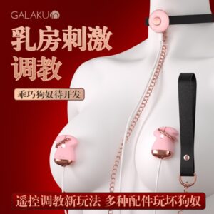 GALAKU希娅乳夹拉珠项圈震动棒SM套装  限价169元